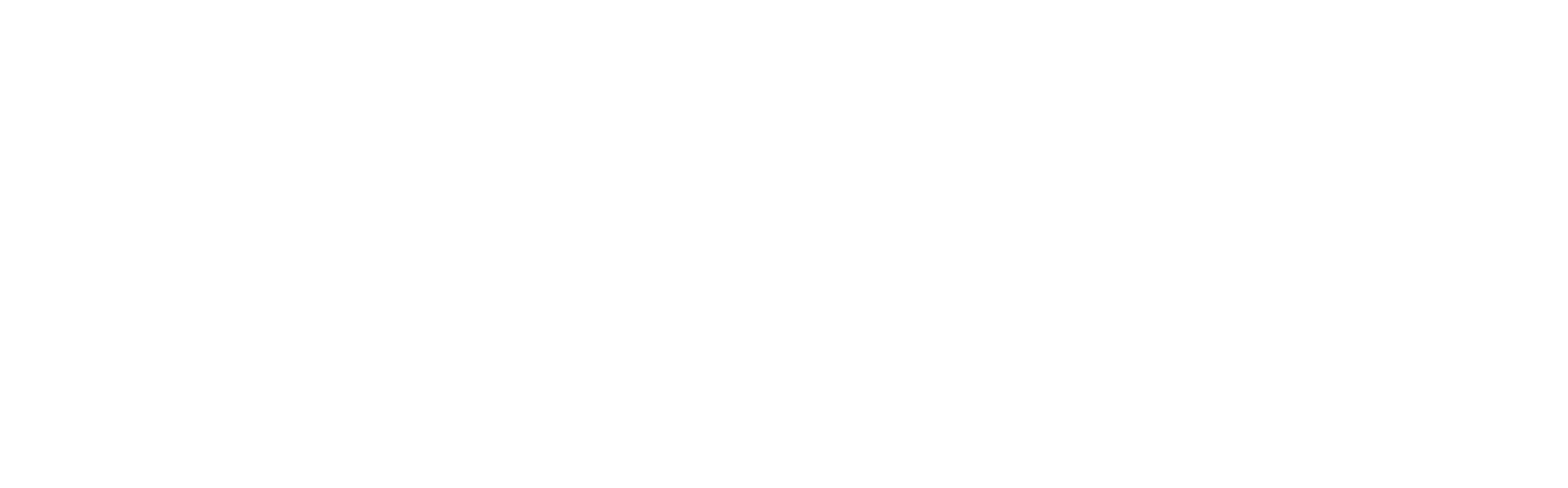 Cognic AI